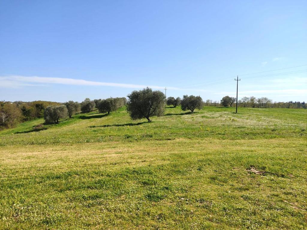 Podere San Giuseppe Acquapendente Exterior photo
